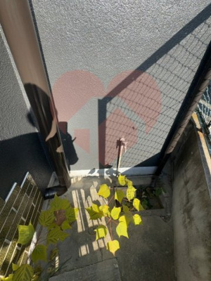 【設備】 | 柏原市大県４丁目戸建