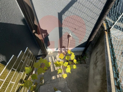  | 柏原市大県４丁目戸建