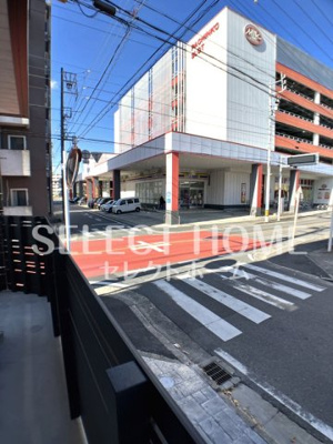【展望】 | シャルムＳ岡崎