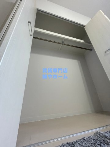 Luxe難波西Ⅱの収納|収納のためのスペースです