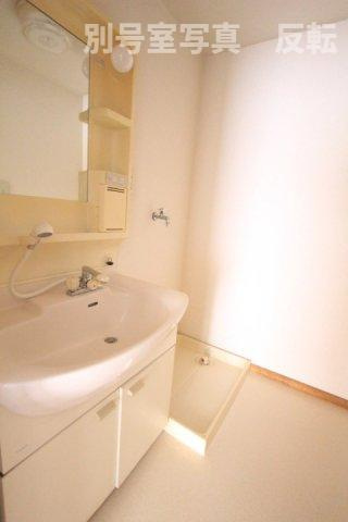 ハピネス八光の洗面所