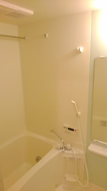 フロイエンハイムの浴室