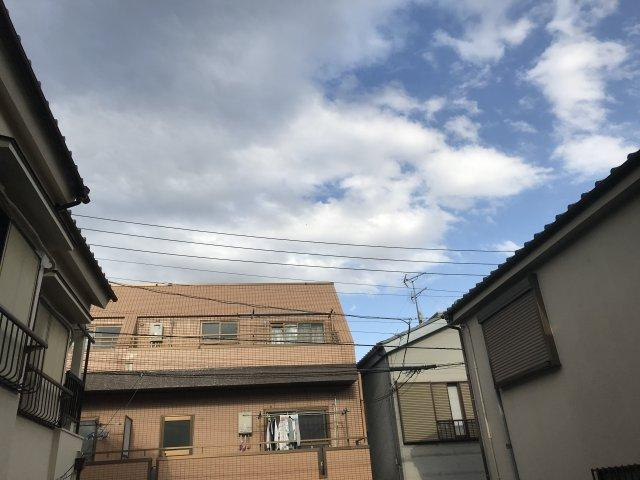 メインシティガーデンベレノスの展望