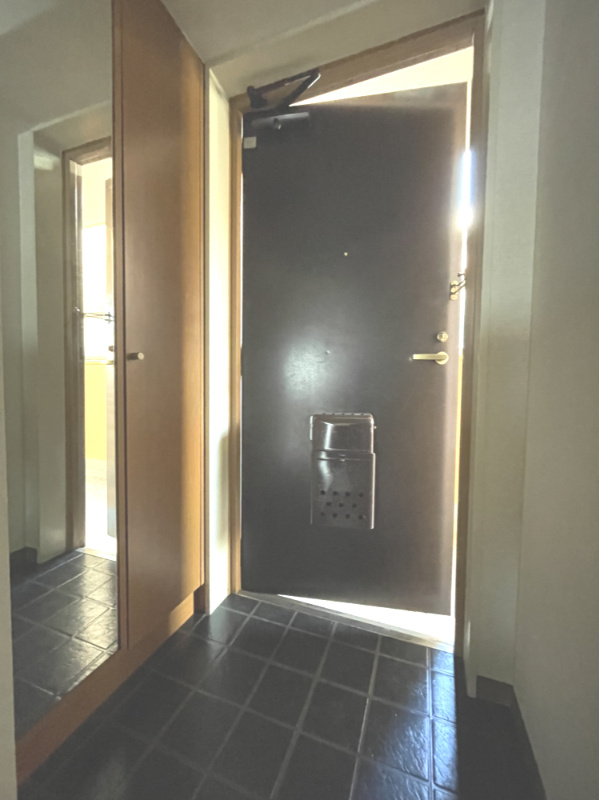 ダイアパレス中新町第3の玄関