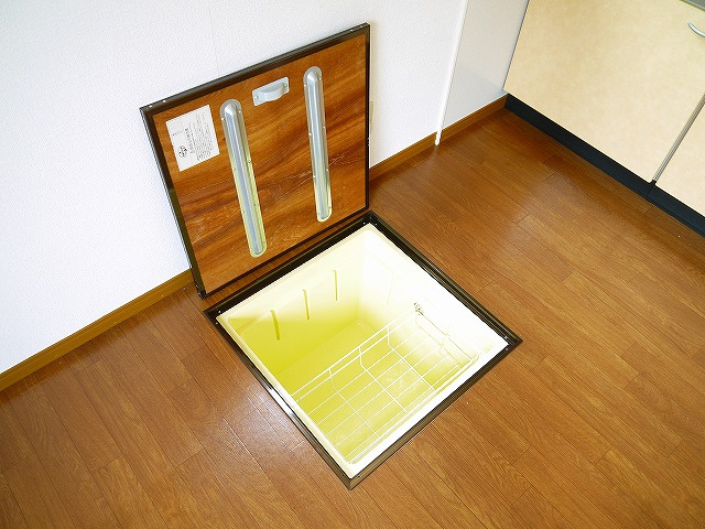 ラフィーネ結崎　Ａ棟の設備|収納があります