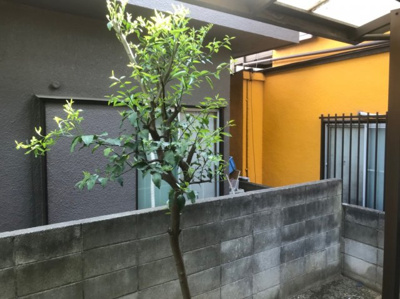 【展望】 | Tフラッツ