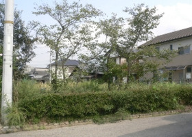 西条市安知生の外観