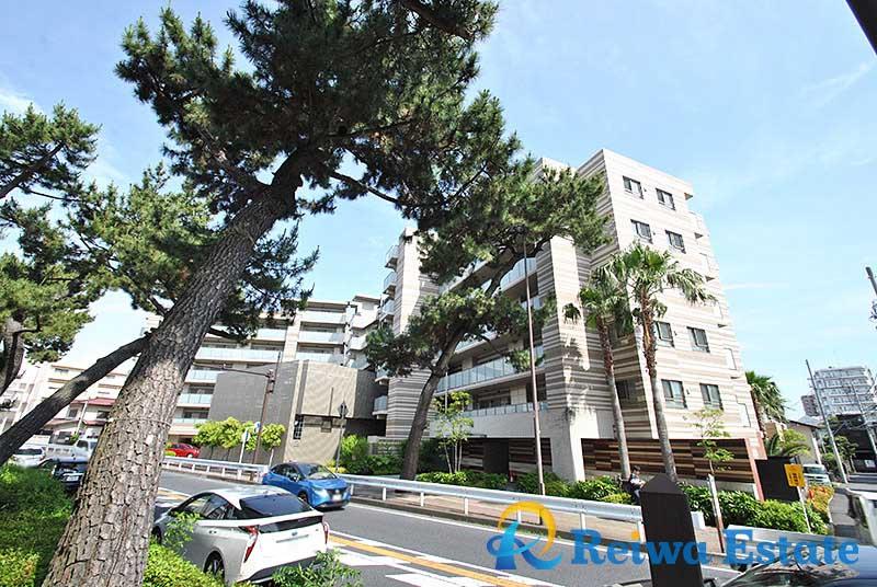 ウィルローズ茅ヶ崎の周辺