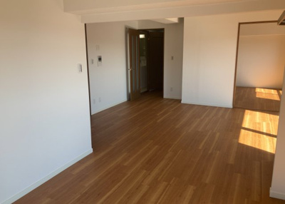 【居間・リビング】 | ドミール八王子 | 直線タイプはLとDKを一直線に並べた形で対面キッチンのタイプです。一般的なのでよく見かけるかもしれません。直線タイプに似た直接アイランドタイプは、キッチンとダイニングの間に壁がない分広く感じられます。