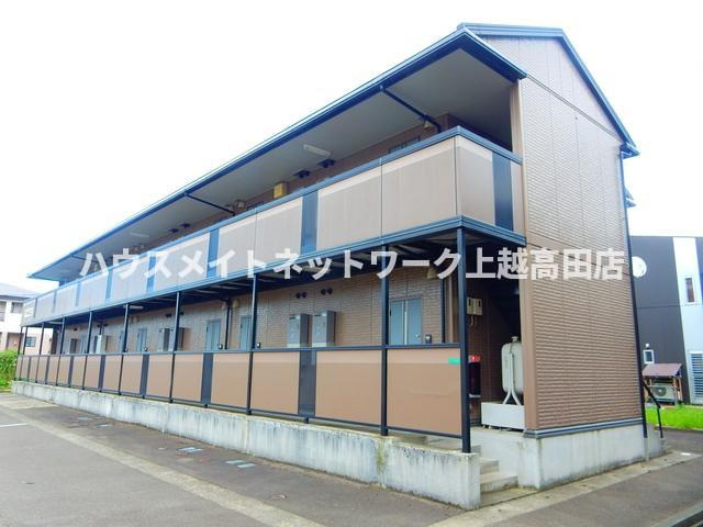 ＧＲＡＣＥ２１