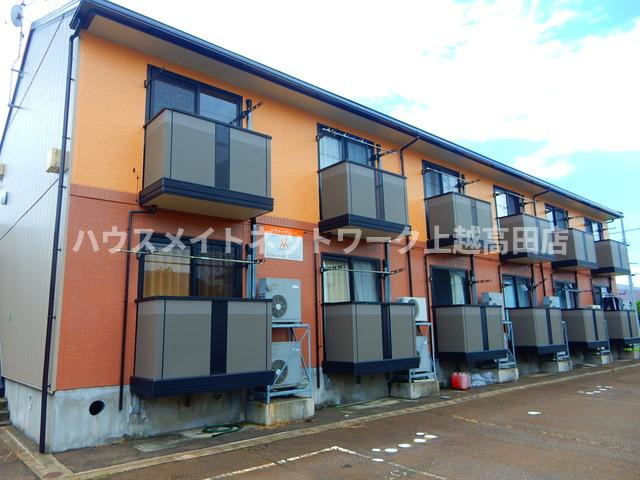 エヴァーグリーン