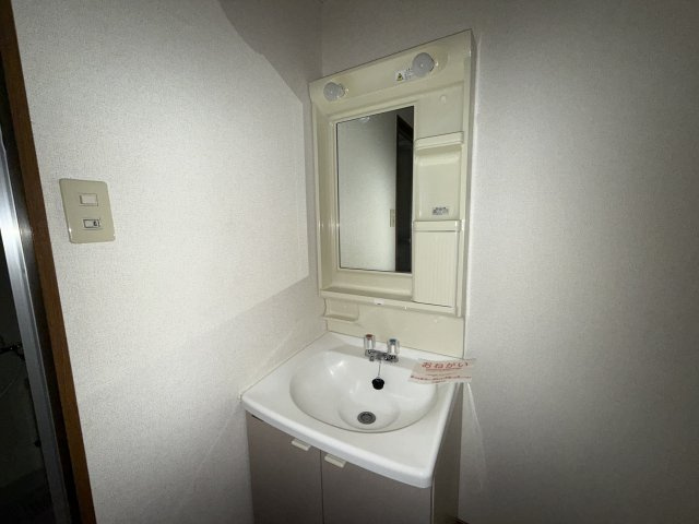 ドミール加佐の洗面所
