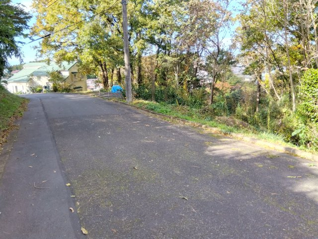 売土地　三島市大場の前面道路含む現地写真|近くに公園があります。休日にご家族でバドミントンが楽しめますよ♪