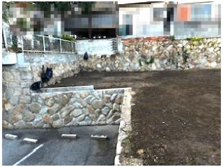 国玉通4丁目土地のその他|現地写真