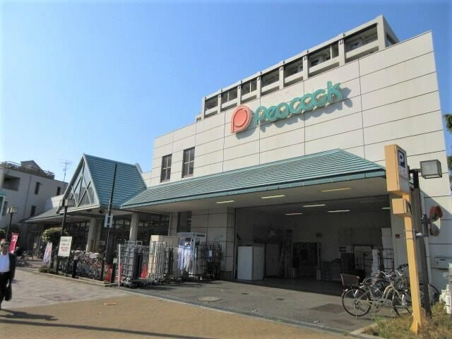 フィーカＤ棟の周辺