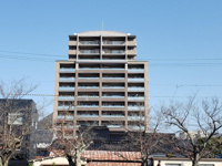 ポレスター鳥取川端の画像