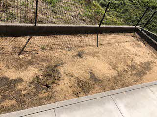 【庭】 | エヴァーグリーン西大和Ａ