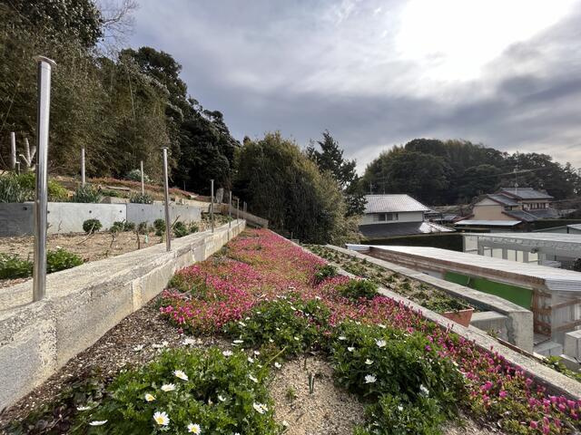 売中古戸建　中央区協和町の展望