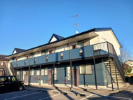 シャルマンの画像