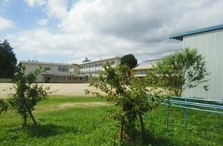 シャルマン桜Ｄの周辺|桜町小学校まで270m