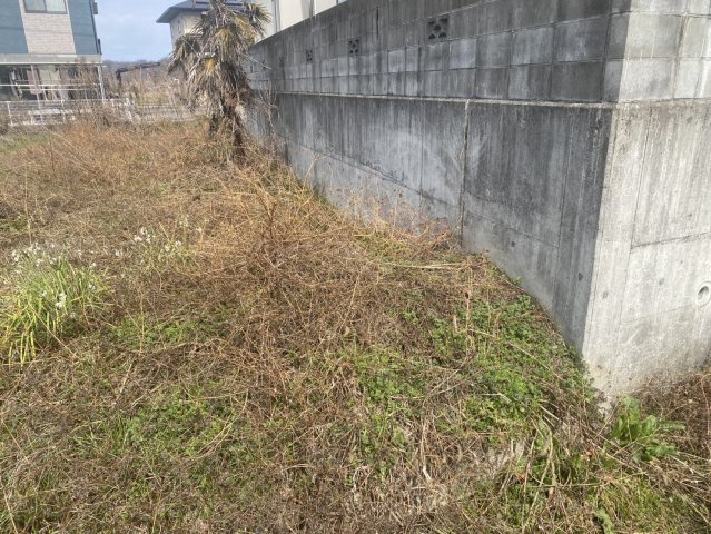 売土地の外観