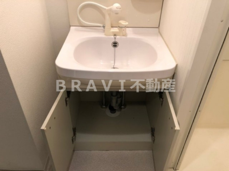 クレアート大手前グランアクシア　BRAVI不動産の独立洗面台|【クレアート大手前グランアクシア】収納もできる独立洗面台