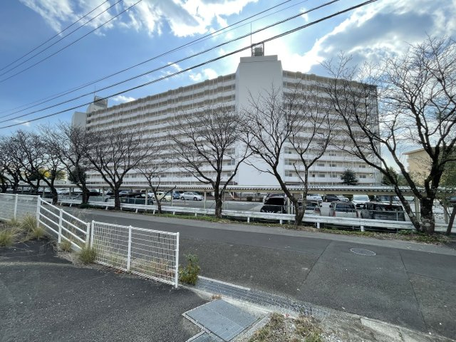 【その他】 | 鏡川コーポA棟 | 北側の桜並木は春はたけなわです。