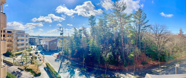 シティコーポ島田東B棟の展望|住戸からの眺望