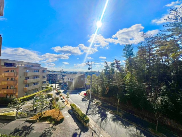 シティコーポ島田東B棟の展望|住戸からの眺望