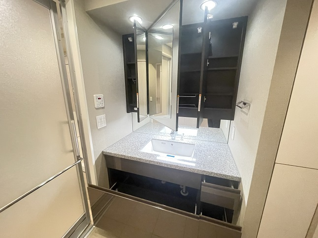 港区南青山７丁目の賃貸マンションのその他|洗面収納