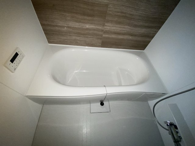 セントレジデンスⅡの浴室