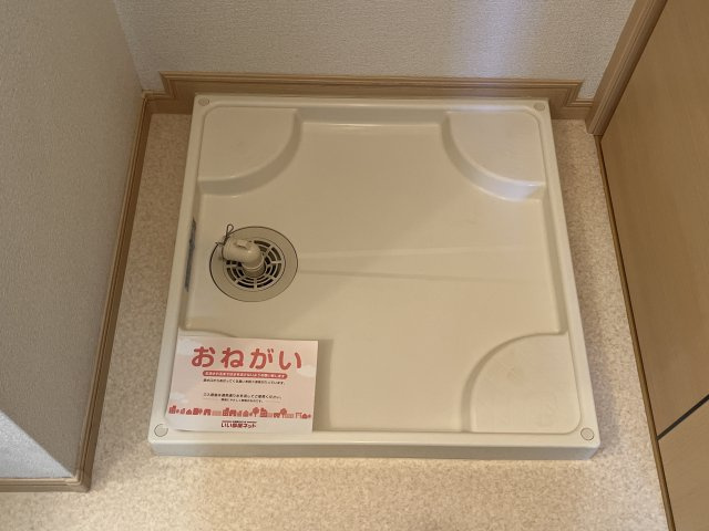 ラフレシールＨのその他
