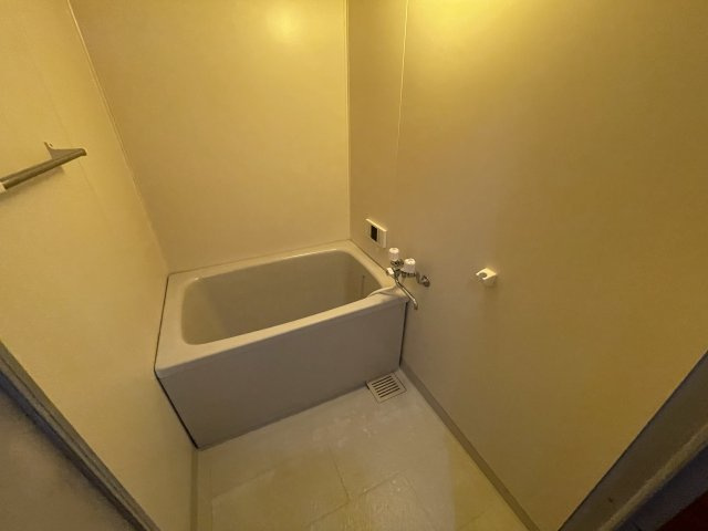 ネオラグナスNⅠの浴室