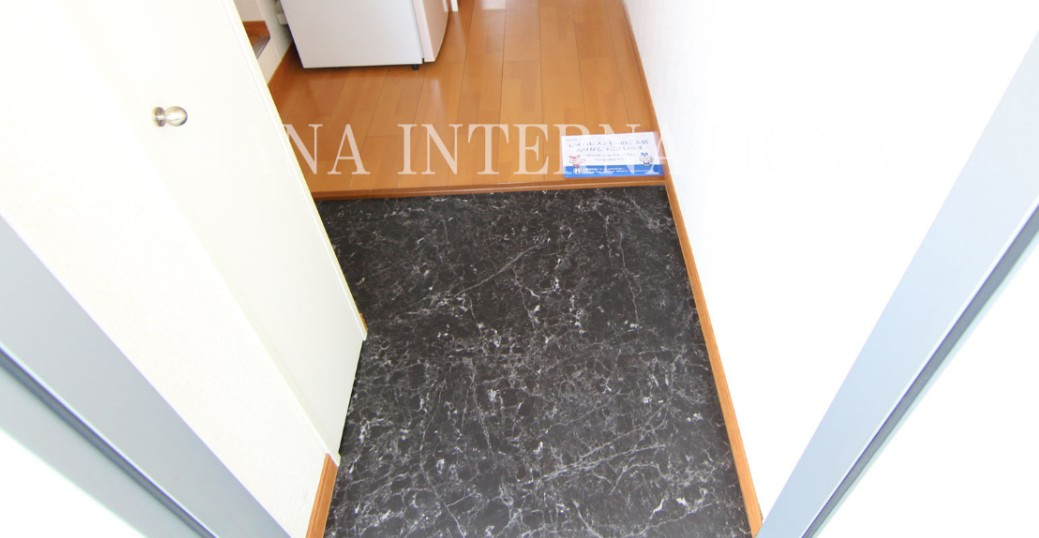 レオパレスプラクトピアの玄関