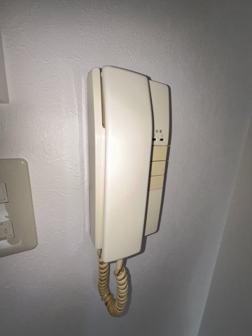 ルネッサンス王子のセキュリティ