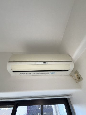 ルネッサンス王子のその他