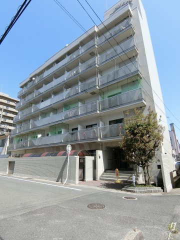 アルビヨン錦の外観