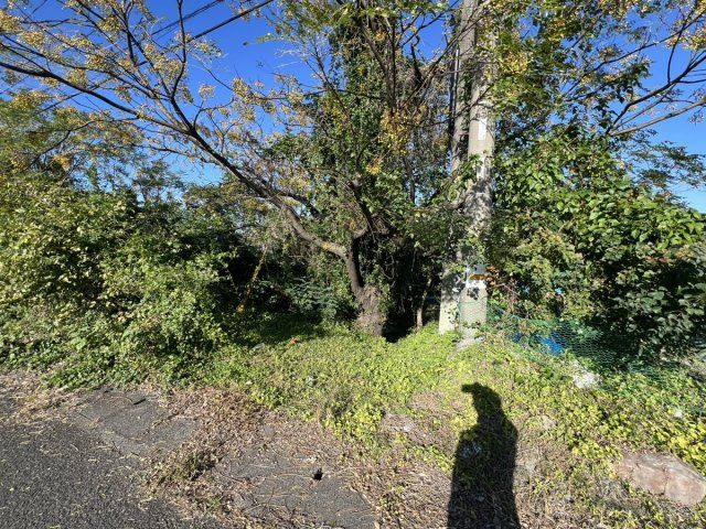 郡築一番町土地の周辺