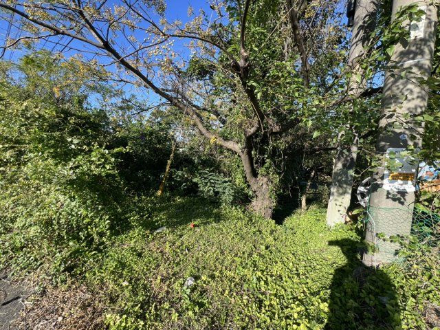 郡築一番町土地の周辺