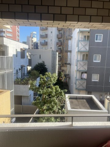 シメントピアの展望