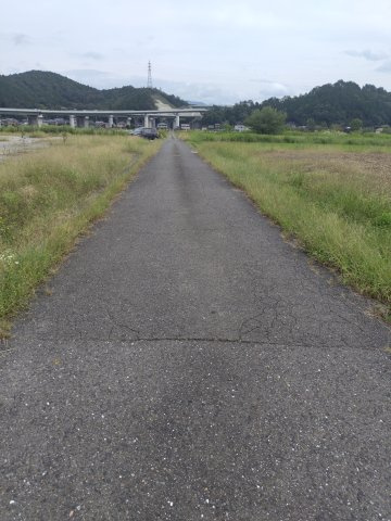 ６４１８６　山県市高木土地の前面道路含む現地写真