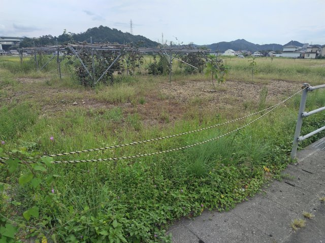 ６４１８４　山県市高木土地の外観