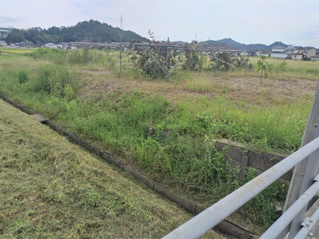６４１８４　山県市高木土地の外観