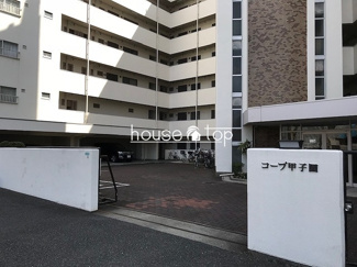 【周辺】 | コープ甲子園