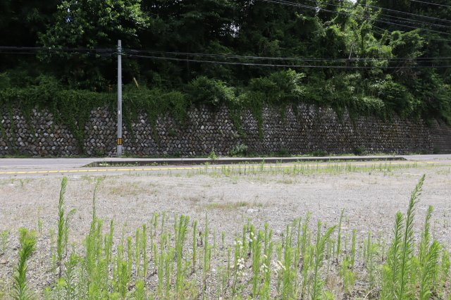 【土地】社館之内の外観