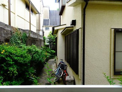 【展望】 | カーサリネア