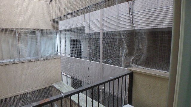 肴町旭ビルの展望