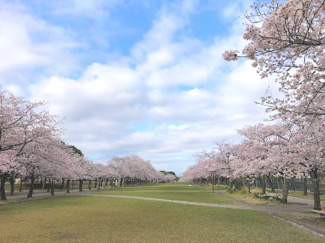 【周辺】 | 宝野公園まで徒歩４分
