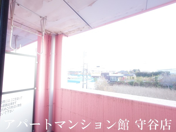 パームヒルズの展望