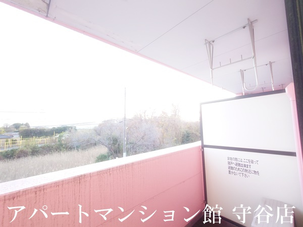 パームヒルズの展望